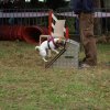 foire-haricots 2011-09-17et18
